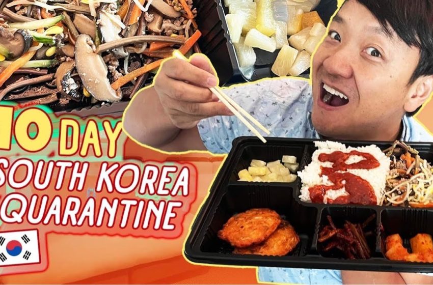  10 Day SOUTH KOREA Quarantine FOOD REVIEW & TRAVEL TIPS!