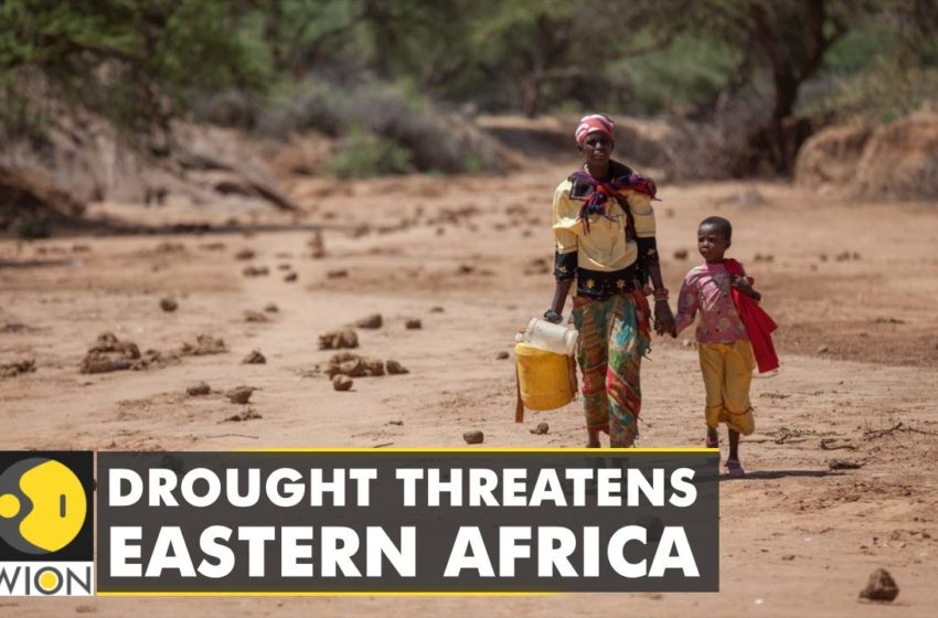  Drought worsens livelihood in East Africa as 13 mn people face hunger | WION Climate Tracker | News