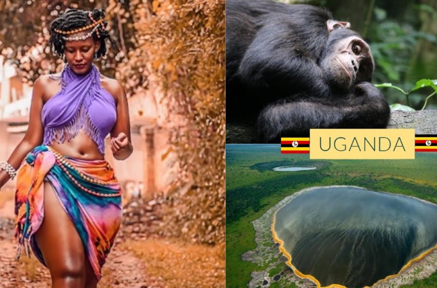  10 Top Tourist Attractions In Uganda, Why You Should Visit Now!!!