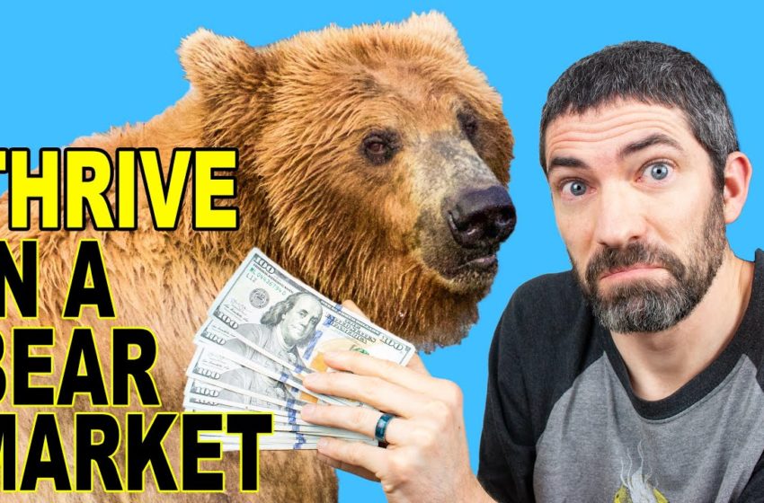  How to Make Money in an NFT Bear Market