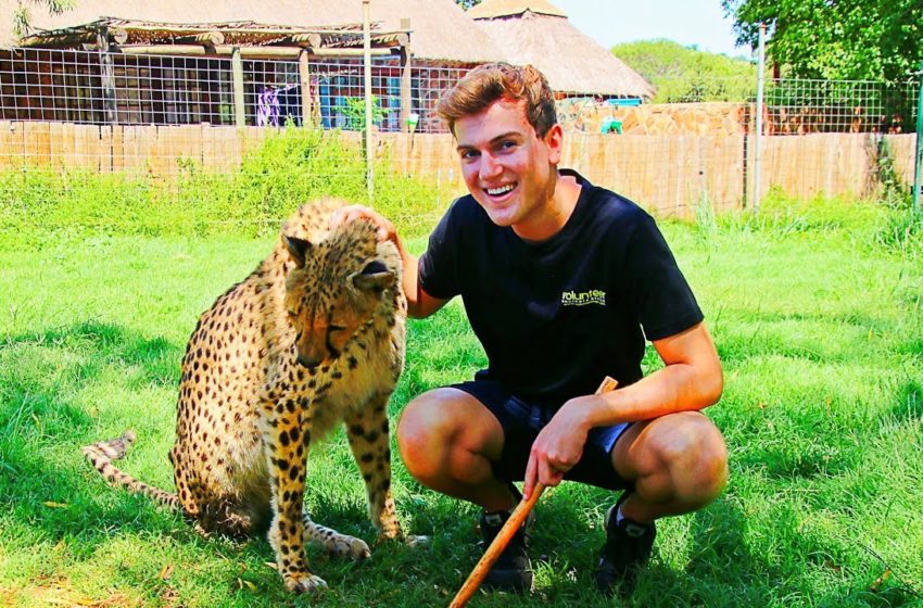  My Best Travel Experience: Volunteering with Big Cats in South Africa