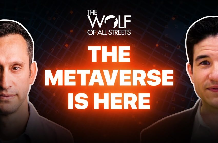  Why You Should Be In The Metaverse Right Now | Robby Yung, Animoca