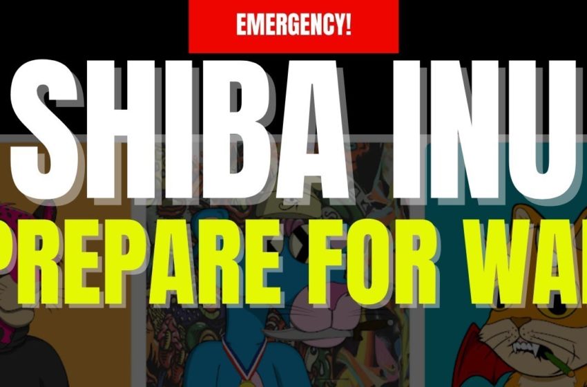  SHIBA INU PREPARE FOR WAR || NFT METAVERSE