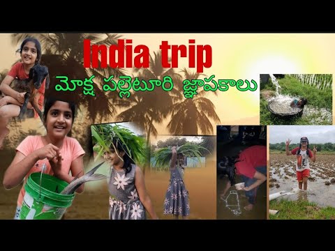  Moksha village memories | Village lifestyle | India trip |  @Neelus Vlogs from Africa