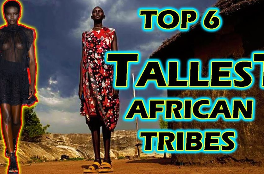  Top 6 TALLEST African Tribes : SOMALI, DINKA, MAASAI, NUER, ANUAK or TUTSI?