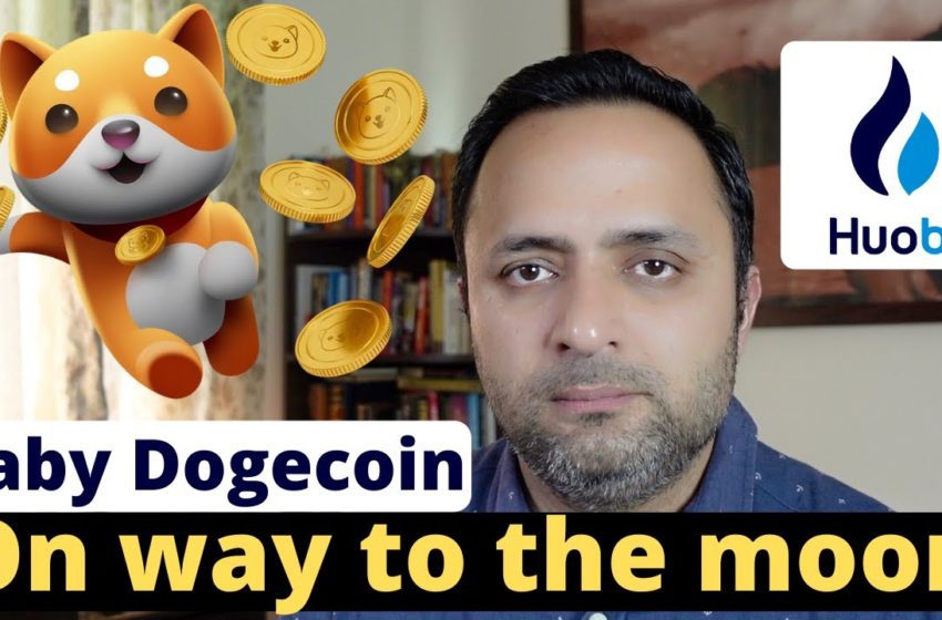  Baby Dogecoin Listing Done in Huobi Global | Meme Token | Cryptocurrency
