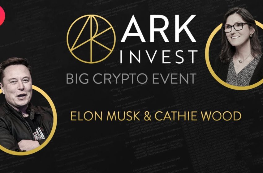  Big Event with Elon Musk & Cathie Wood | What happened to cryptocurrency? | BTC and ETH News [Live]