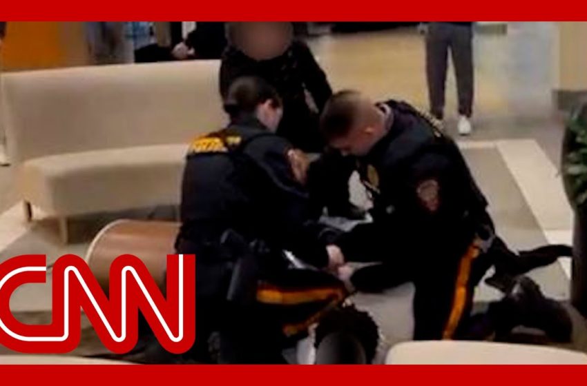  Video showing how police treat Black and White teens in mall fight sparks outrage