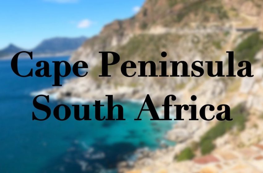  South Africa | Cape Peninsula Day Trip