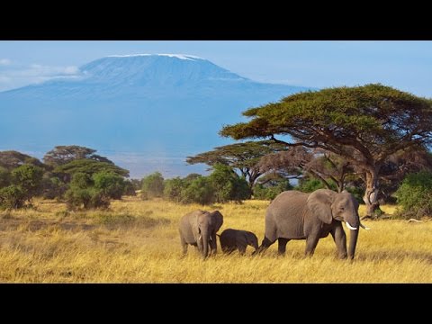  Mala Mala Game Reserve, Africa with Titan Travel