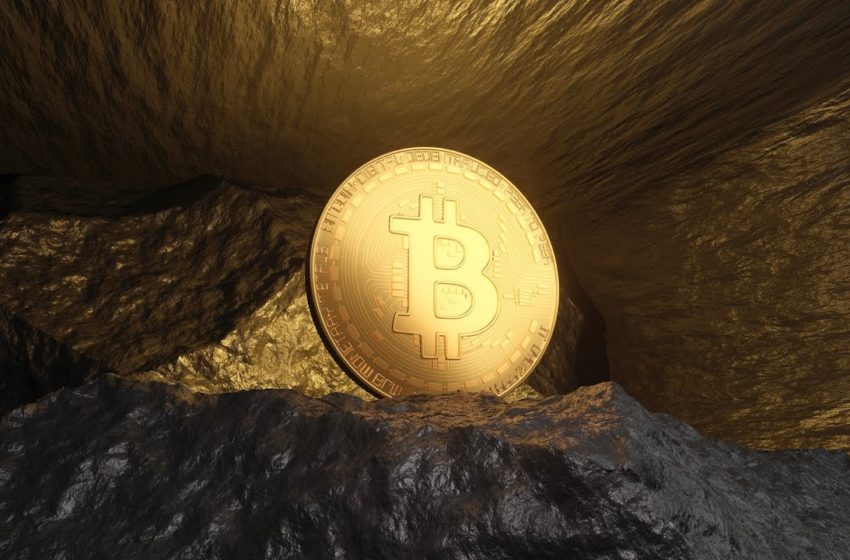  Bitcoin has become 'the ultimate risky asset' amid inflation: Analyst