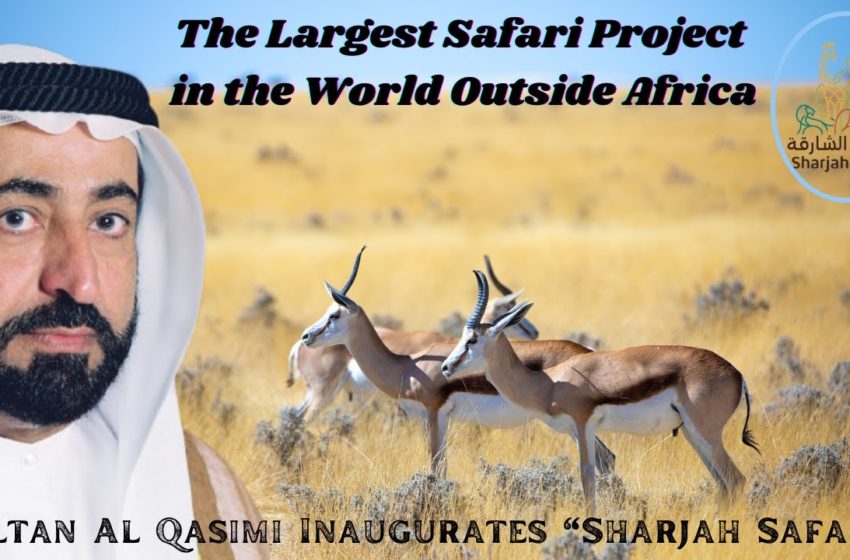  Sharjah Safari Park | World's Largest Safari Outside the Africa | KM Tourism Dubai