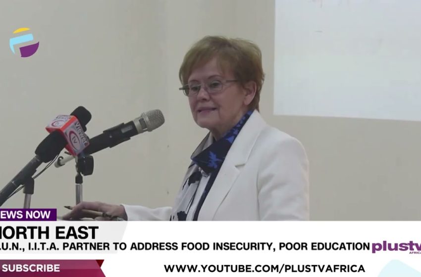  North East: A.U.N., I.I.T.A. Partner To Address Food Insecurity, Poor Education | NEWS