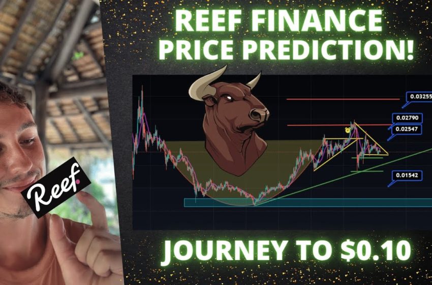  REEF FINANCE CRYPTOCURRENCY PRICE PREDICTION!