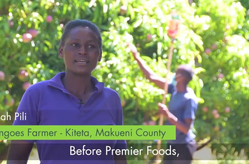  Supporting food processing in Kenya with AgriFI Kenya – Self Help Africa
