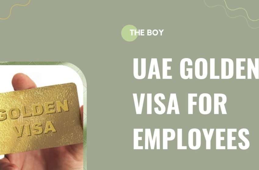  UAE Golden Visa For Employees | Coders | Artificial Intelligence | Tamil