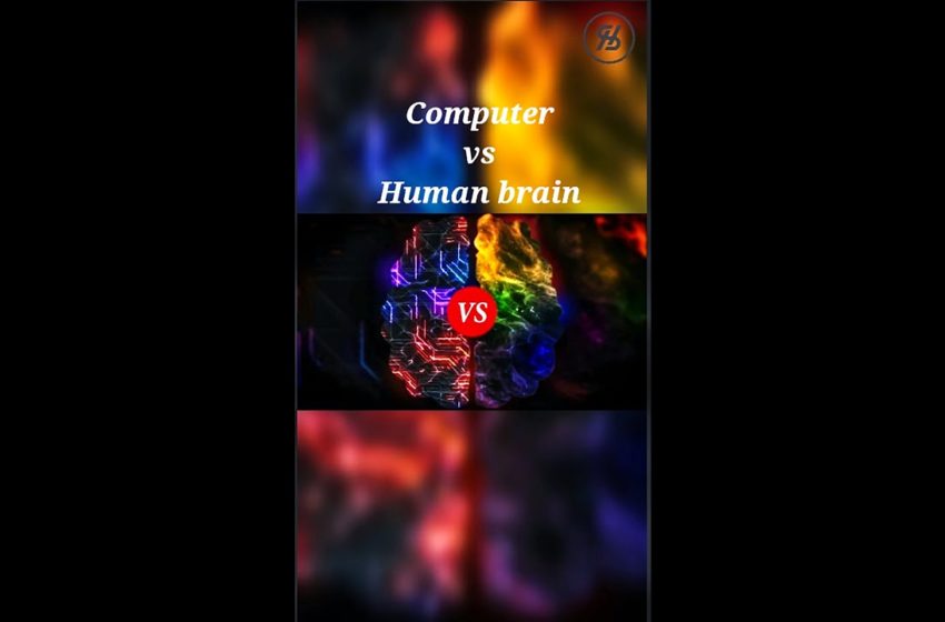  Artificial Intelligence vs Human Intelligence | Neurons and algorithms comparison