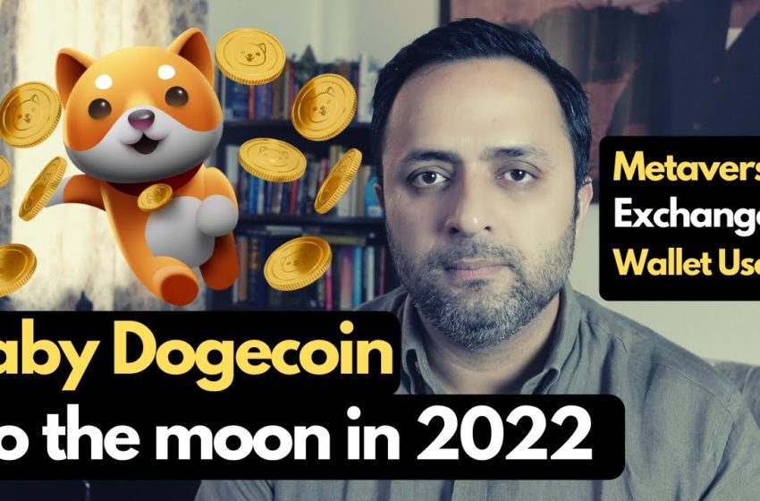  Will Baby Dogecoin go to the Moon in 2022 | Cryptocurrency