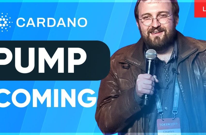  Charles Hoskinson: We expect $4.5 per ADA | Cryptocurrency NEWS | Cardano Price Prediction 2022!