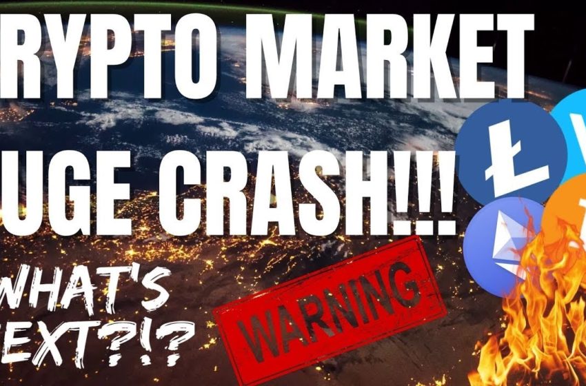 Crypto Market CRASH! – TIME TO BUY? – What's NEXT!? – Cryptocurrency News Today