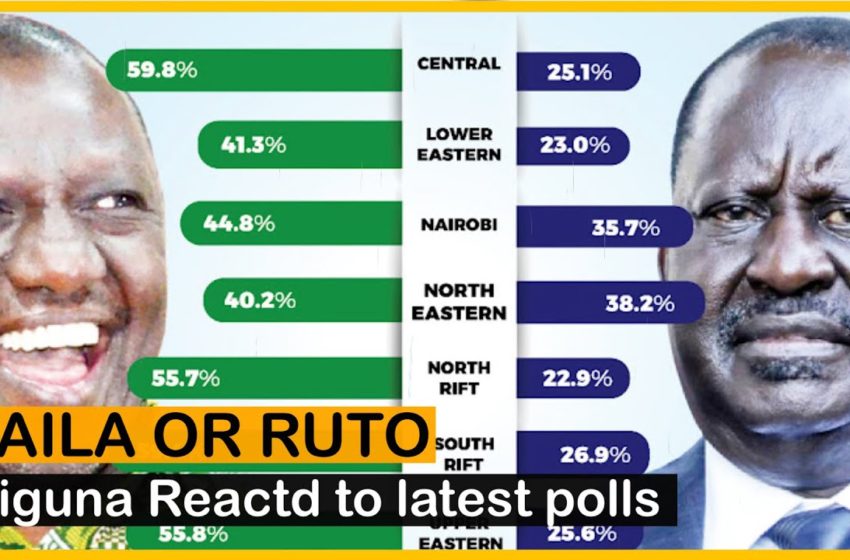  Miguna Reacts To Opinion poll Putting Ruto Ahead Of Raila News54!