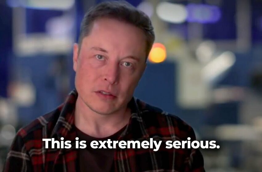  Elon Musk's Brutally Honest Opinion on ChatGPT and His Involvement…