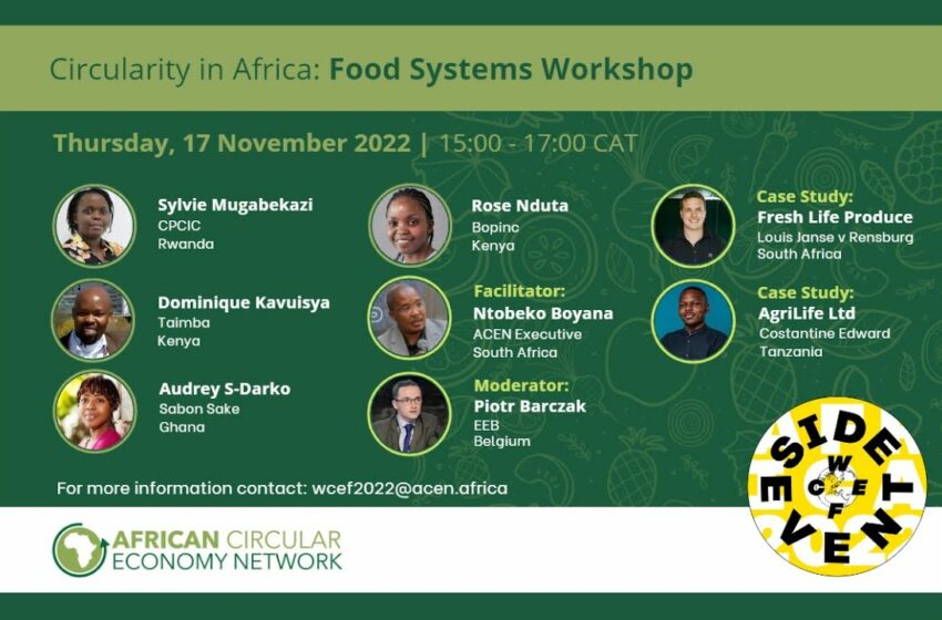  African Circular Economy Network – Circularity in Africa Food Systems
