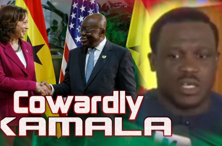  Ghanaian MP Calls Kamala Harris A Coward & Offers To Assist US With Legislation