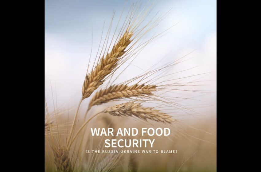  RUSSIA AND UKRAINE WAR: FOOD SECURITY IN AFRICA