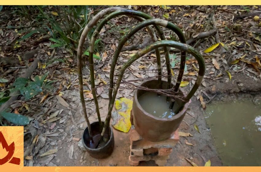  Primitive Technology: Cane Water Filter/Siphon