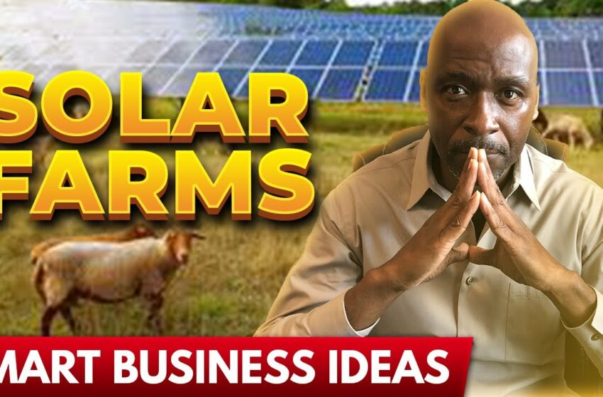  Smart Business Ideas: Solar Farm || Best Business Ideas For Beginners In 2022