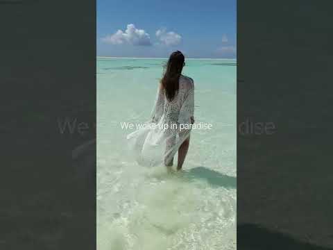  Zanzibar paradise 😍 #shorts #voyage #zanzibar #travel #paradise #bluewater #island #africa #beach
