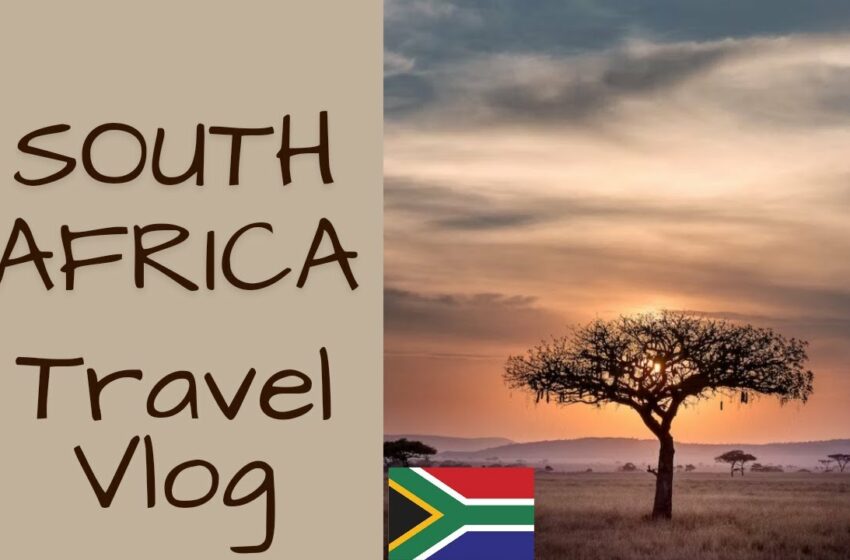  South Africa Travel Vlog| #TheSchmoozeWithNikki #Vlog #Travel