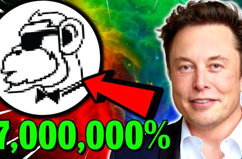 ELON MUSK SAYS THIS IS THE NEXT BIG CRYPTO (RETIRE EARLY WITH THIS ALTCOIN)