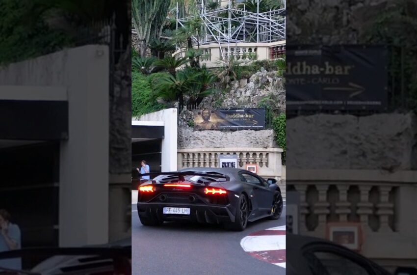 Beautiful Aventador SVJ #billionaire #supercars#luxury #monaco #millionaire #money #rich #lifestyle