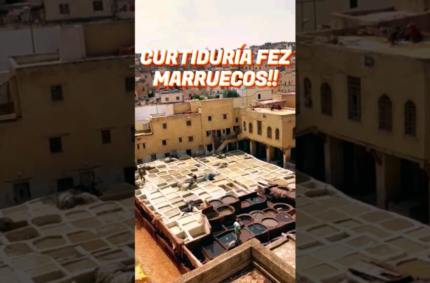  CURTIDURÍA Chouwara FEZ#shorts #fez #morroco #marruecos #travel #africa