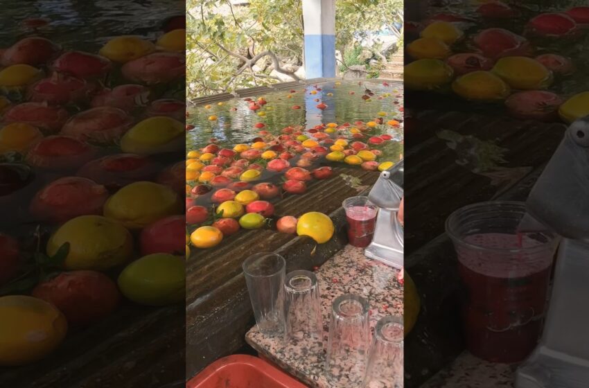  2 dollar fresh  pomegranate juice in Morocco 🇲🇦 #travel #africa #streetfood #travel #travelvlog