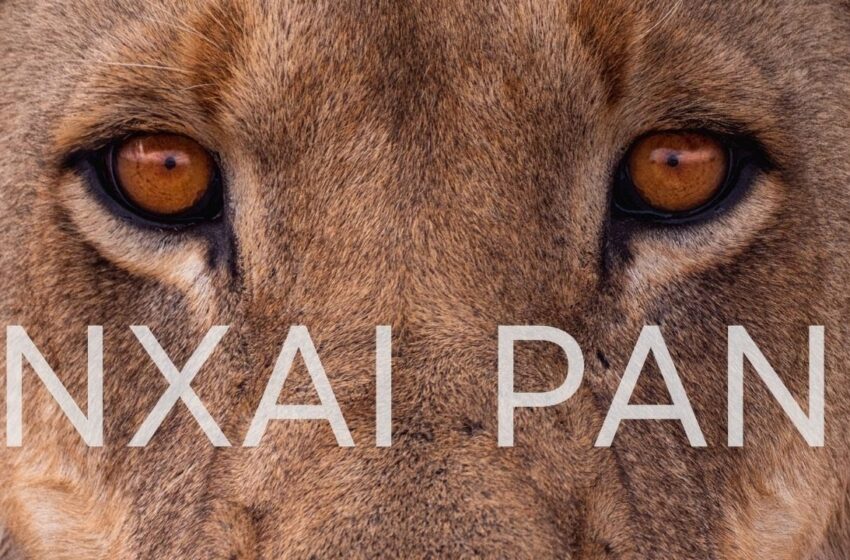  Solo Travel Africa Episode #3 Nxai Pan Lions