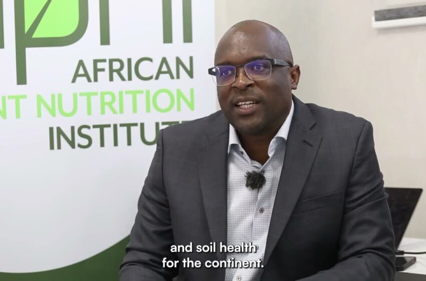  Africa Fertilizer and Soil Health Summit Charts a Productive Path for African Agriculture
