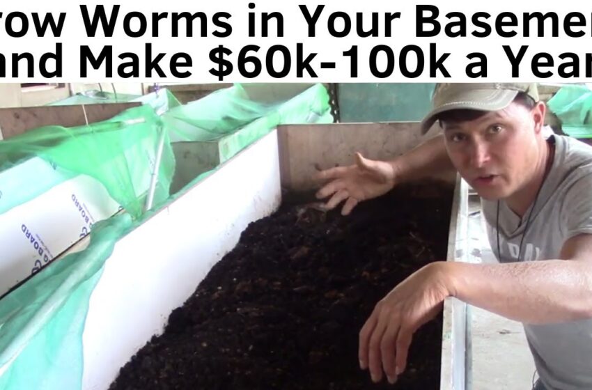  Make $60K-$100K a Year By Growing Worms in Your Basement