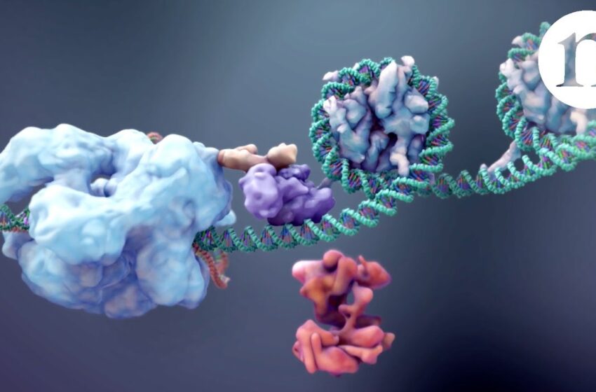  CRISPR: Gene editing and beyond