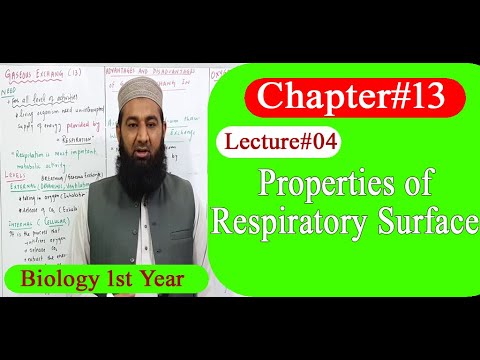  Biology Ch#13-Lecture#04 Properties of respiratory surface  (F.Sc 1st Year)