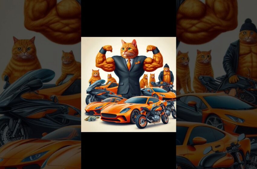  An orange weak cat becomes a rich muscular cat 💰💰💰 #cats #richlifestyle #catlover #viral