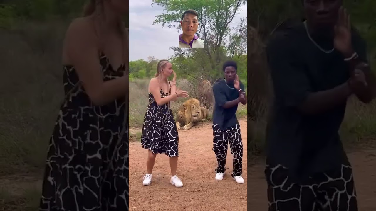 #dance #africa #lion #africans #animals #duet #safari #travel