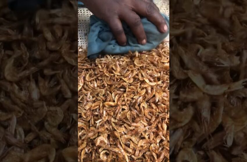  Dried shrimps 🦐 #shots #shorts #food #africa