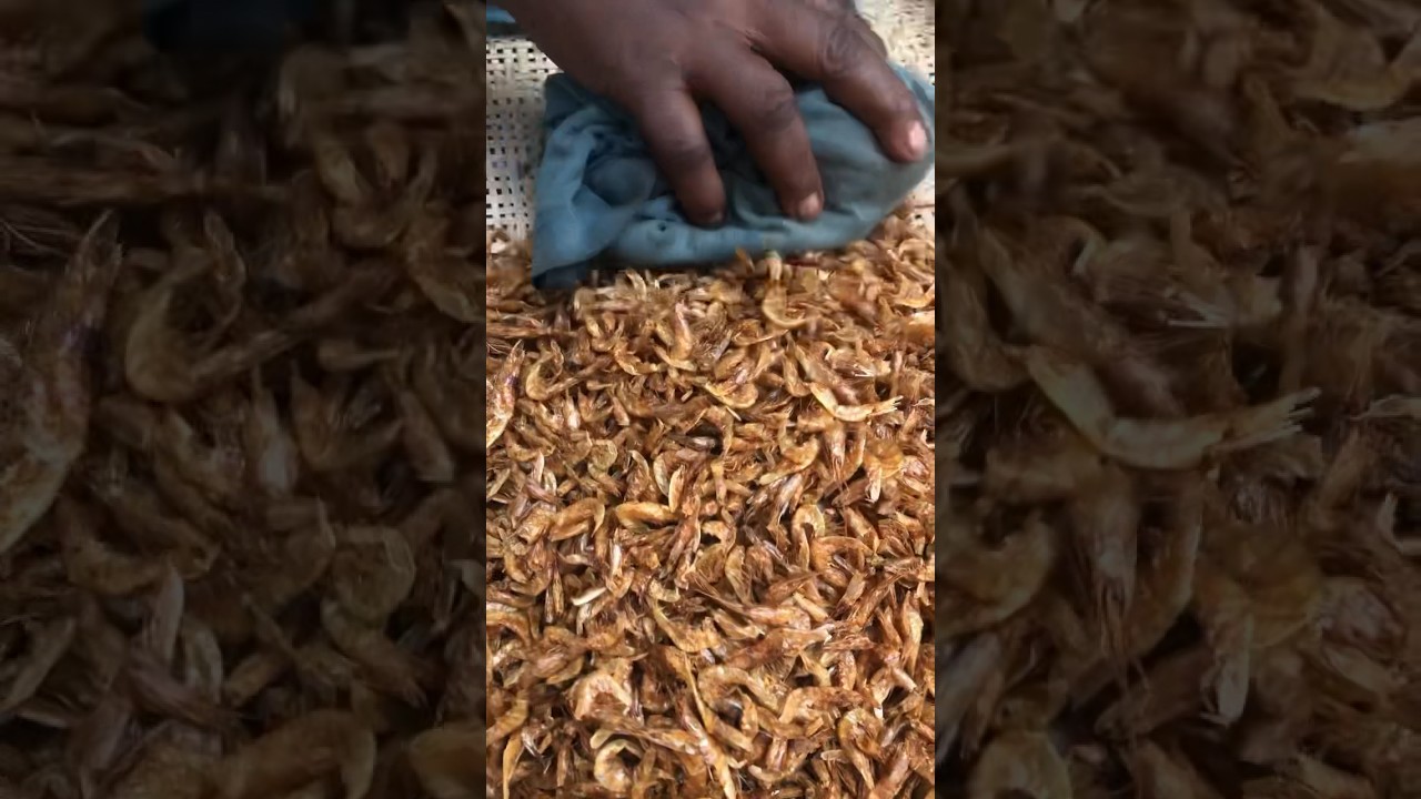 Dried shrimps 🦐 #shots #shorts #food #africa