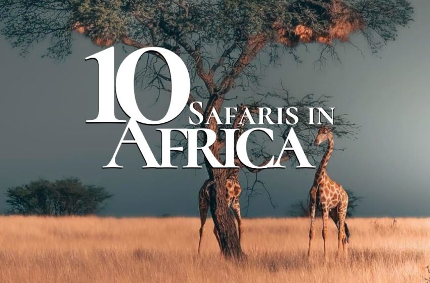  10 Most Beautiful Safaris to Visit in Africa 🐘 | Safari Travel Guide