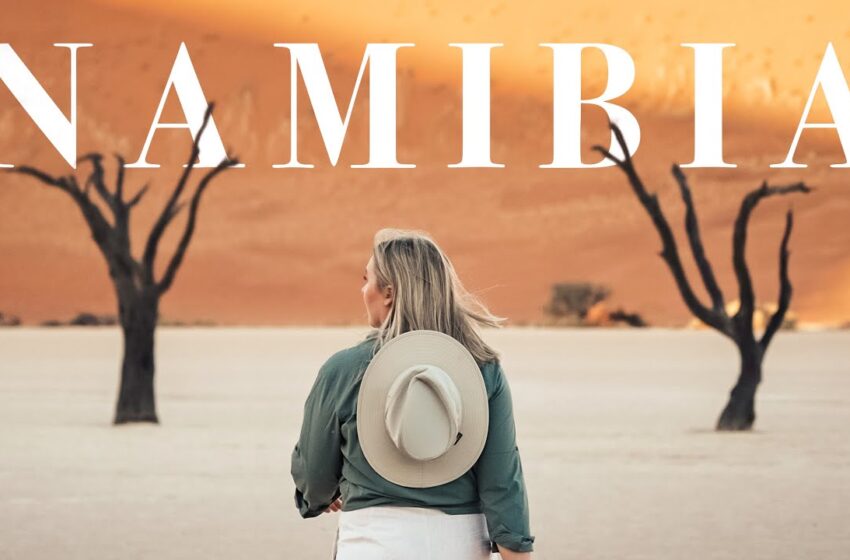  My Trip to Namibia | Safari, Desert, and Coast