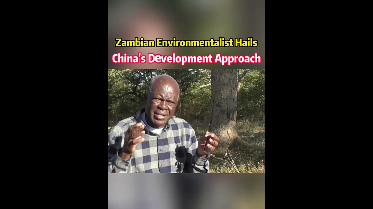 Zambian environmentalist hails China's development approach#china#opinion#zambia#development